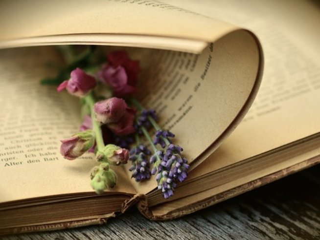 Снимка: pixabay