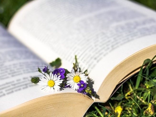 Снимка: pixabay