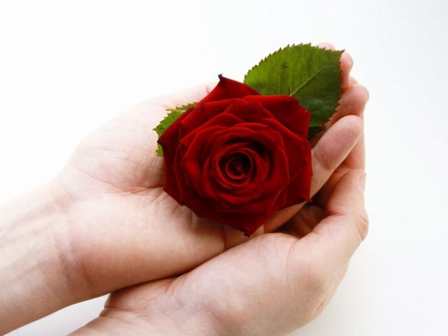 Снимка: Sxc.hu