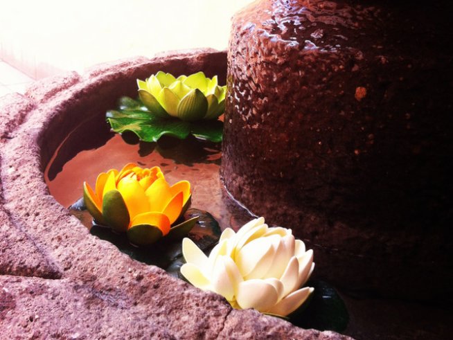 Снимка: Sxc.hu