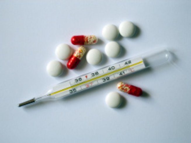 Първата грипна епидемия за 2011 дойде