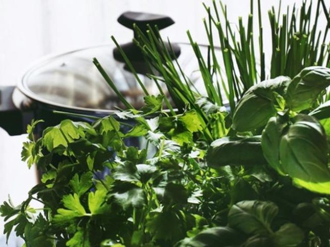 Снимка: pexels