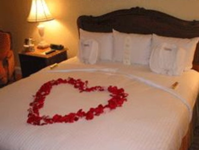 Секс симфония за четири крака и четири ръце