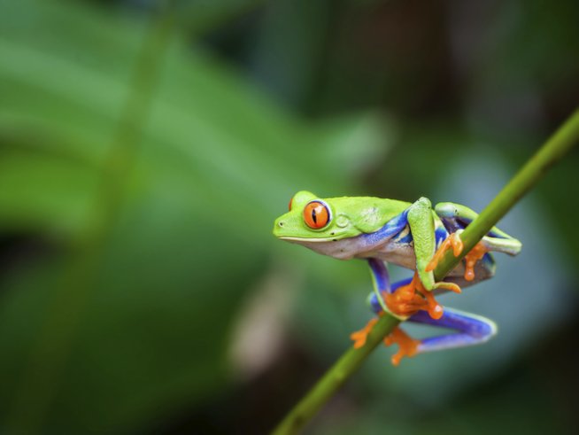 Снимка: thinkstock