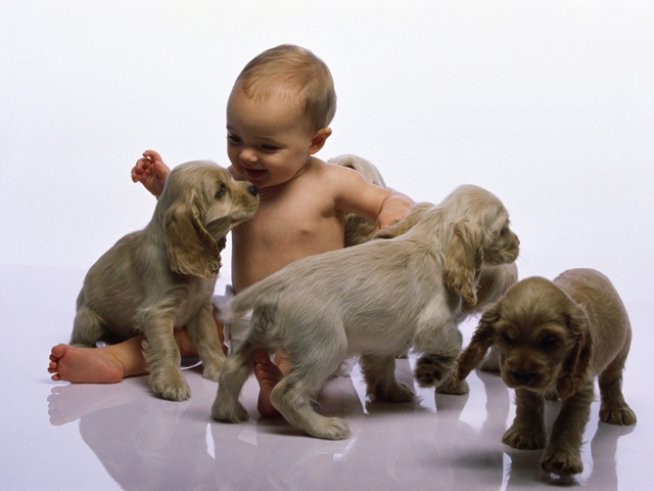 Снимка: thinkstock