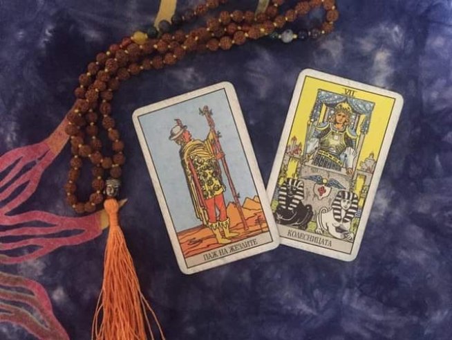 Снимка: Венета Евтимова.