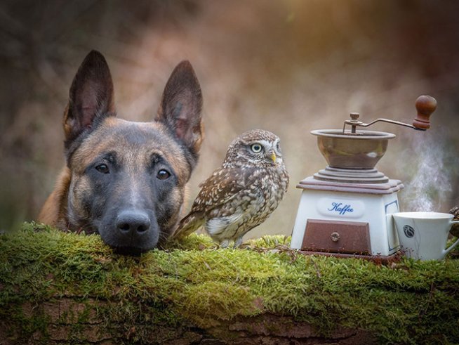 Снимка: facebook Tanja Brandt, boredpanda