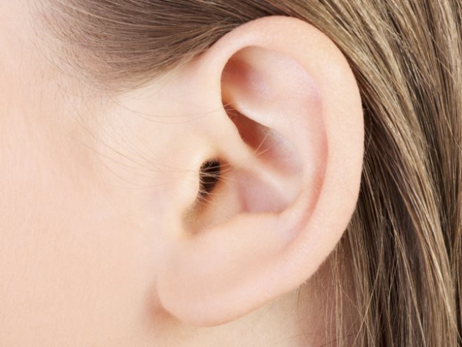 Снимка: thinkstock