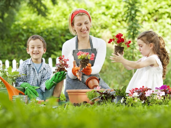 Снимка: thinkstock