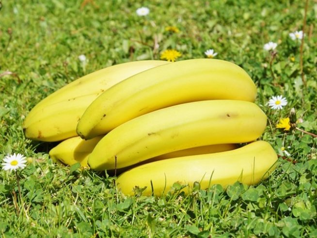 Снимка: pixabay