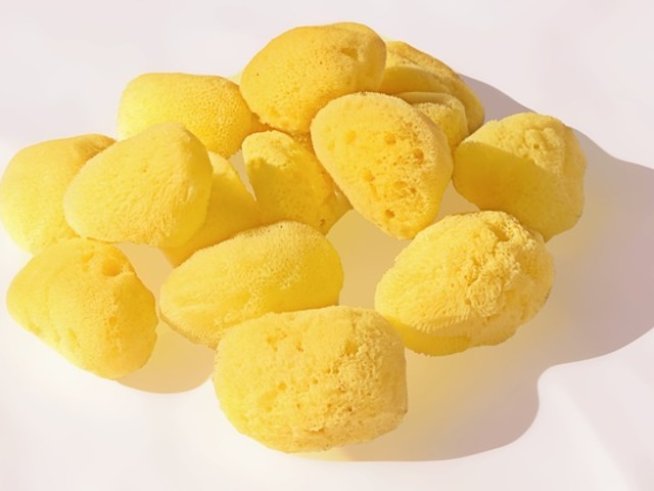 Снимка: pixabay