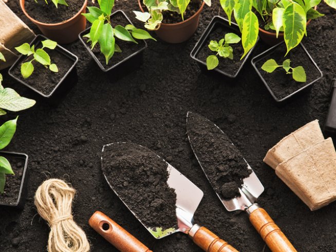 Снимка: istock