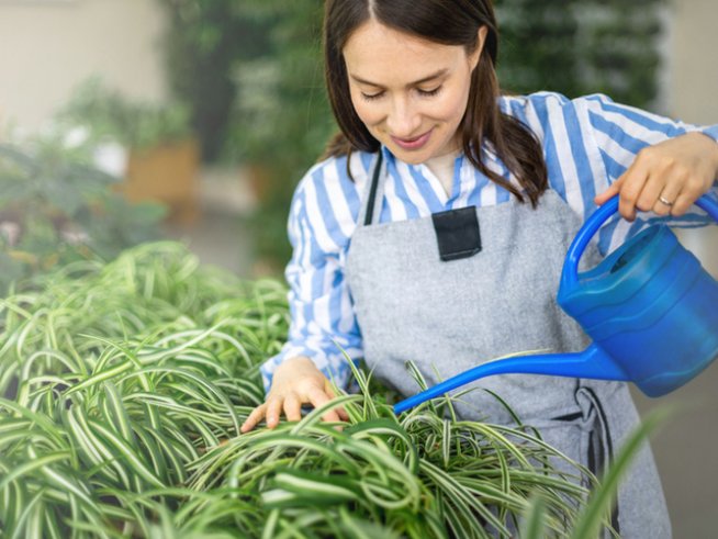 Снимка: istock