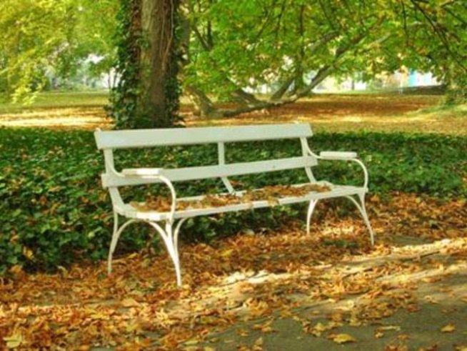 Предложения за почивните дни – 29 и 30 октомври