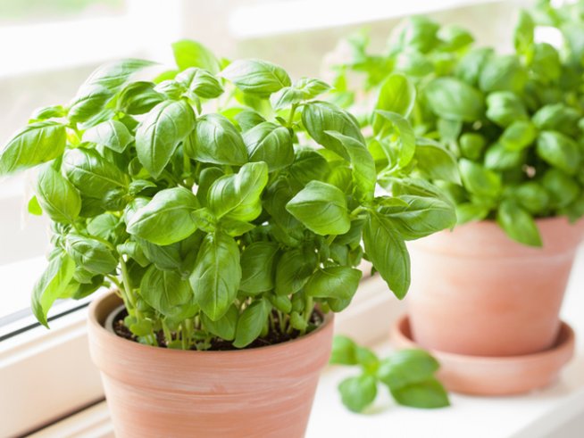 Снимка: istock