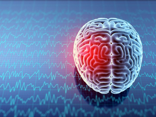 Снимка: Istock