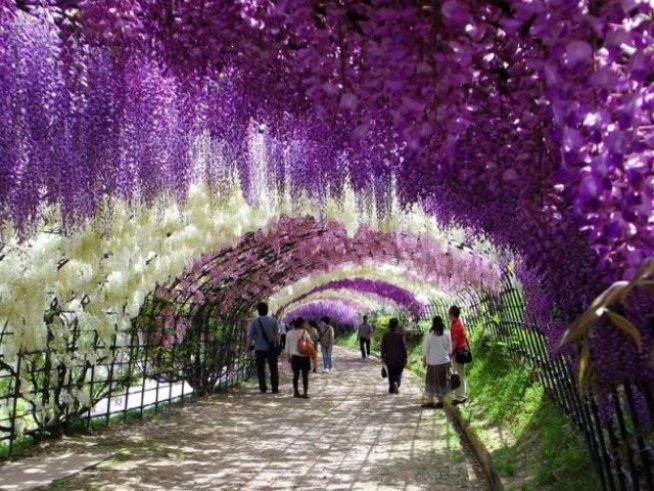 Снимка: Instagram 