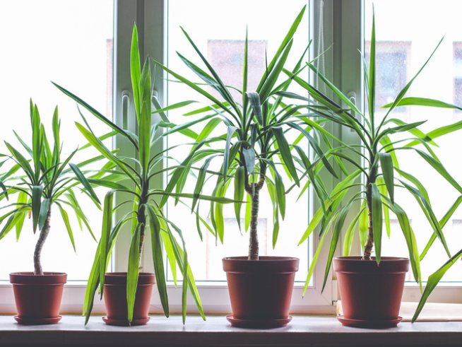 Снимка: istock