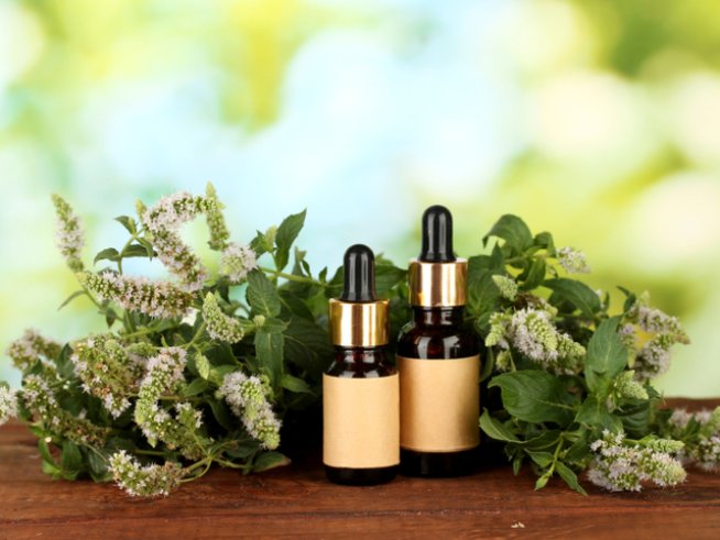 Снимка: iStock