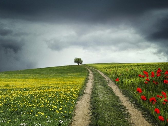 Снимка: pixabay