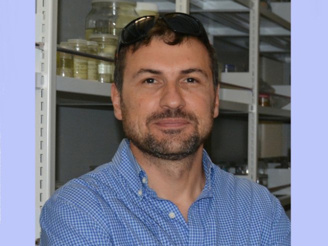 Проф. Павел Стоев. Снимка: личен архив