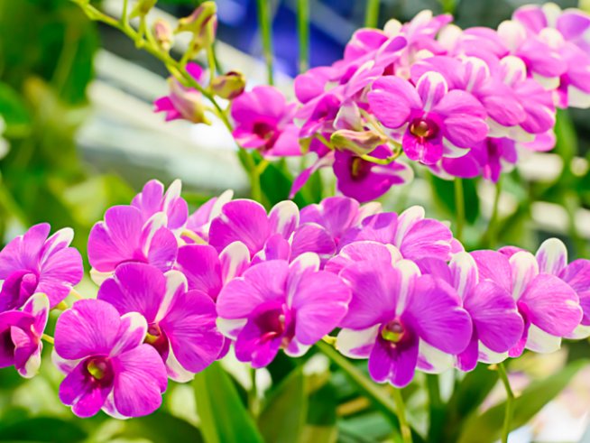 Снимка: istock