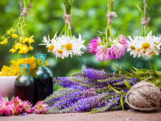 Снимка: istock