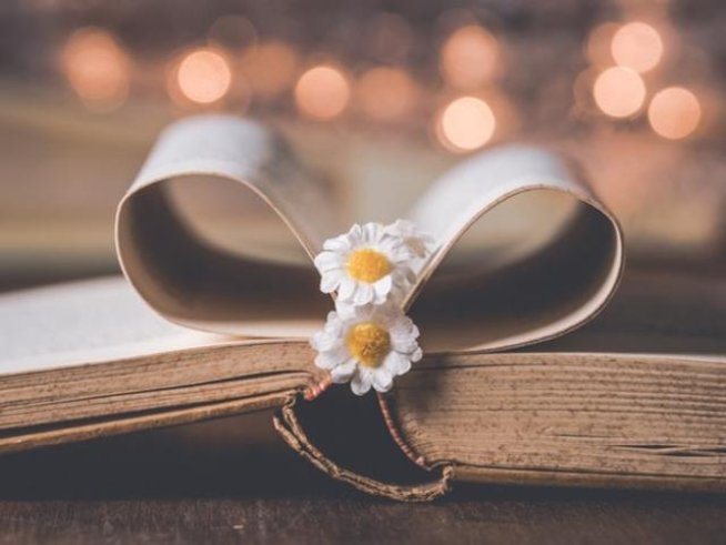 Снимка: pexels