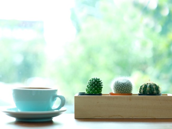 Снимка: istock