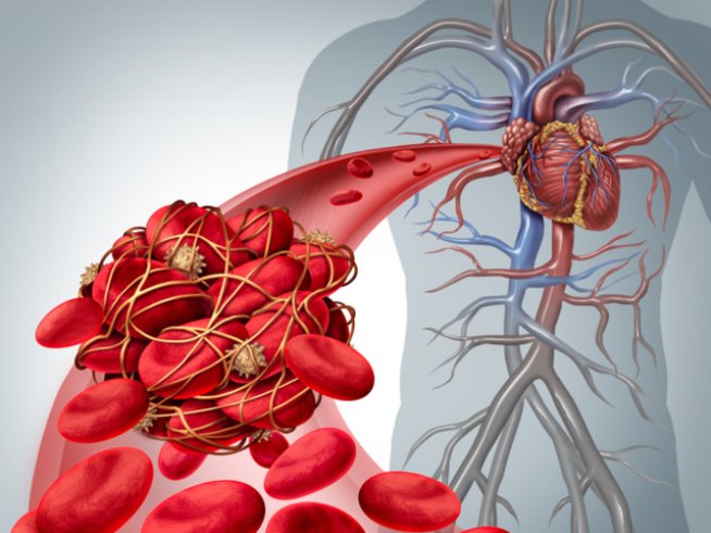 Снимка: istock