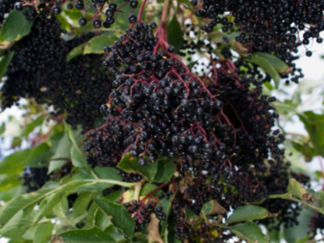 Снимки: Gettyimages.com