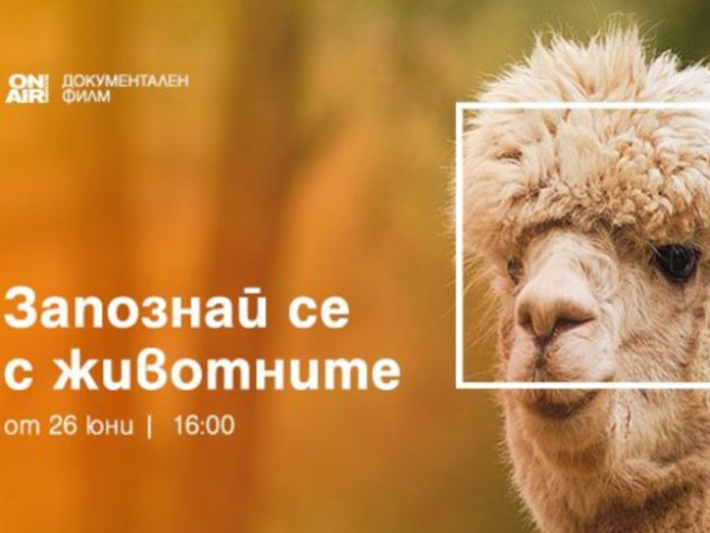 „Запознай се с животните“ е новата поредица в ефира на Bulgaria ON AIR