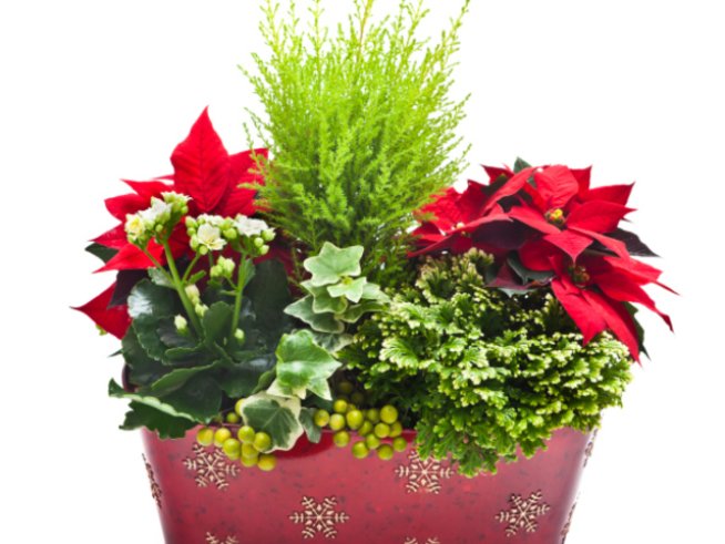 Снимка: thinkstock