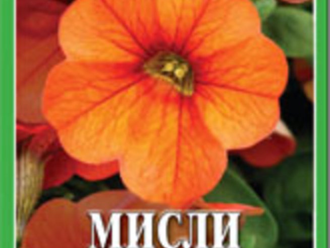 Мисли от сърцето – Луиз Хей