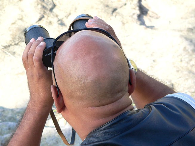 Снимка: Sxc.hu