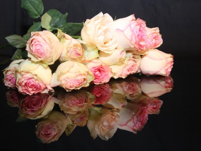 Снимка: Sxc.hu