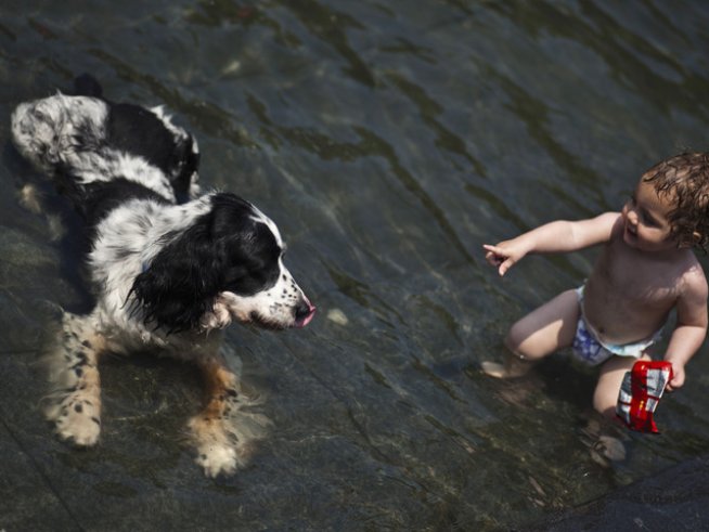 Снимка: Reuters