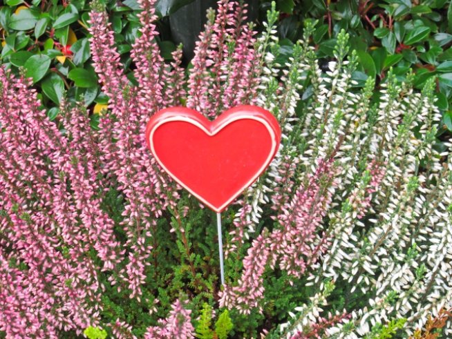 Снимка: Sxc.hu