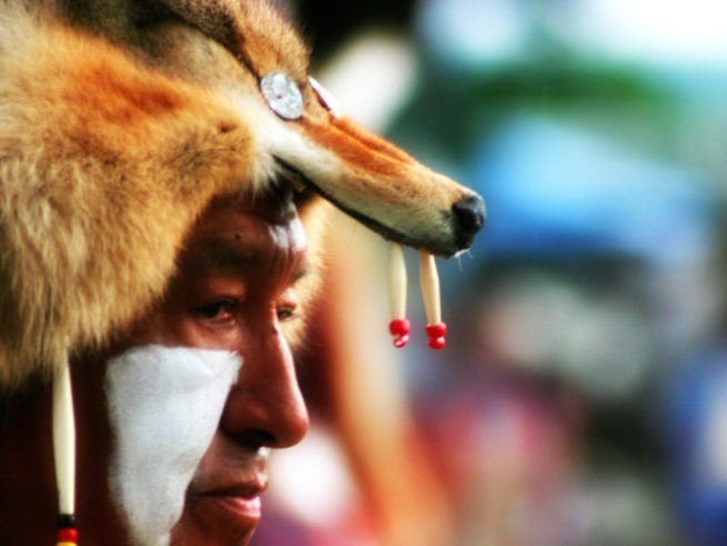 Снимка: freeimages.com