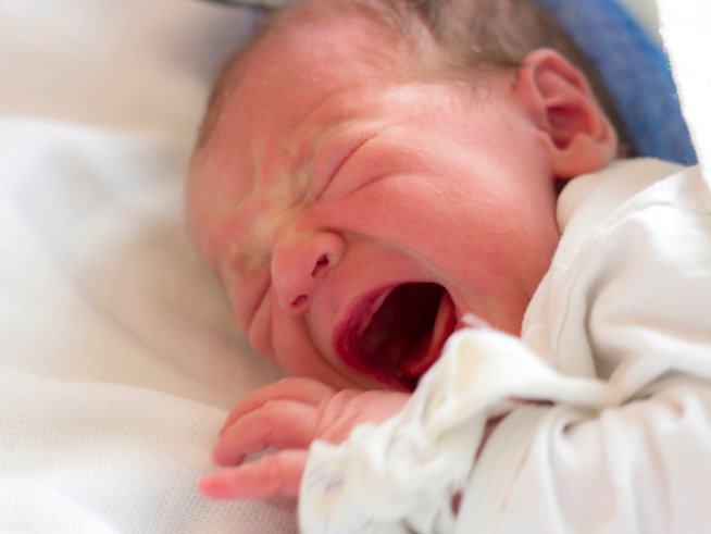 Снимка: istock