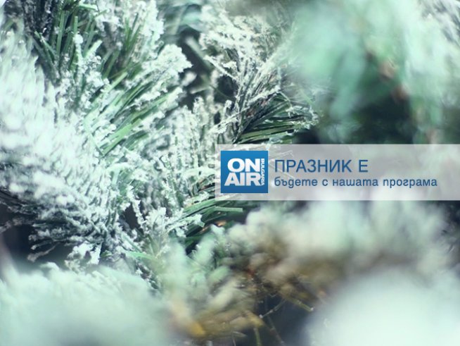 Деси Добрева и Графа забавляват зрителите на Bulgaria ON AIR на Бъдни вечер