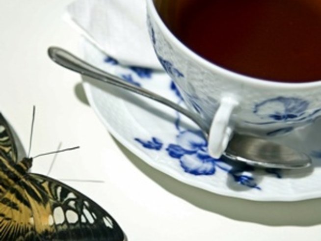 Възстановяване след антибиотик