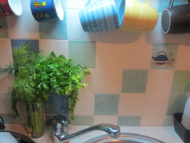 Китка магданоз краси кухнята