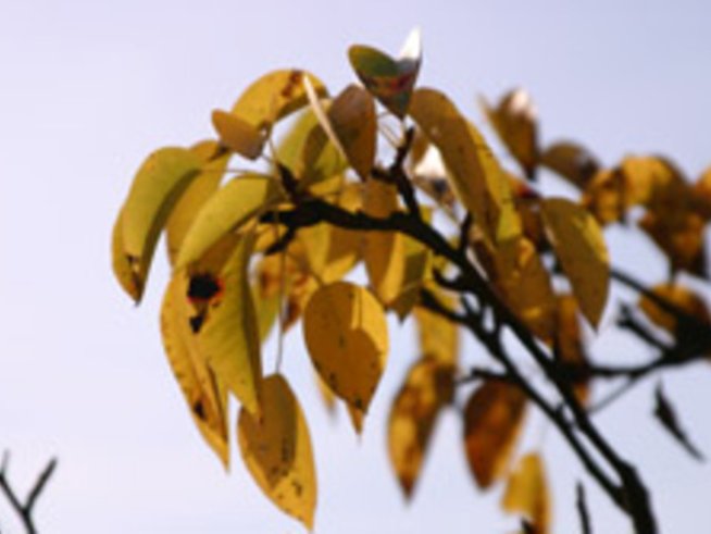 Влюбена съм в есента!