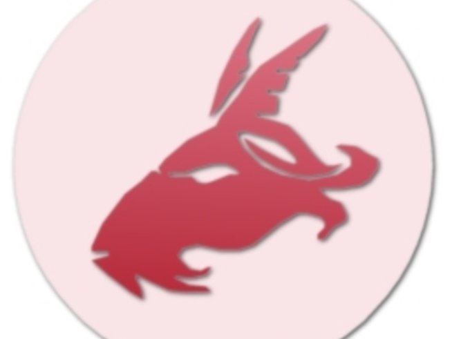 Зодия Козирог – здравен хороскоп 2010