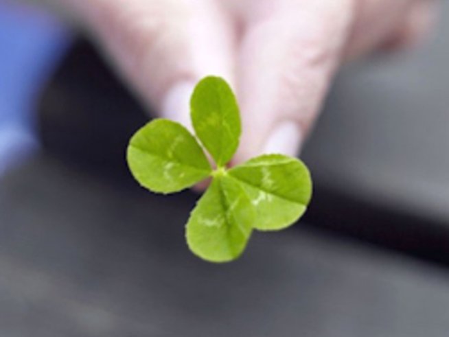 Да си пожелаем успех!