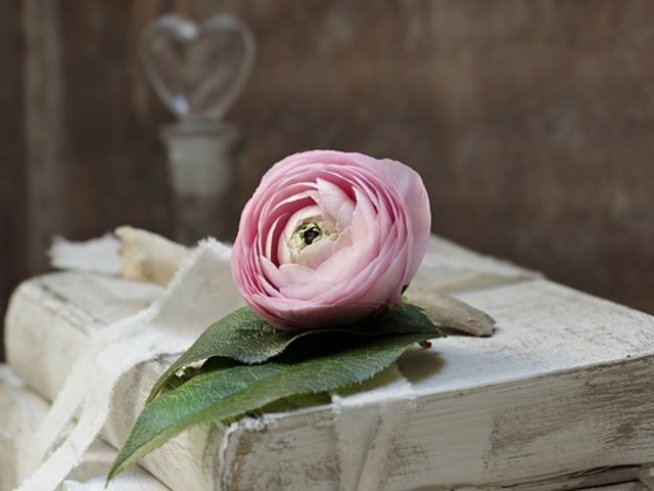 Снимка: pixabay