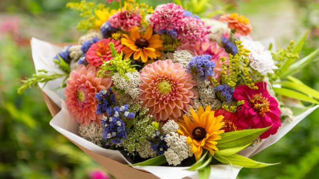 Честит имен ден на Бойка, Бойко, Бояна и Боян! Снимка: istock