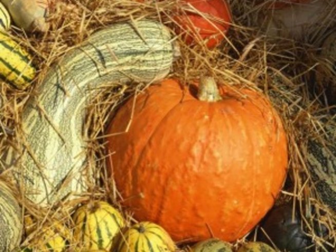 Есенни вкусотийки