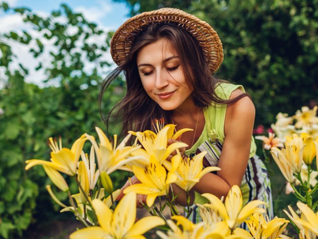 Снимка: istock